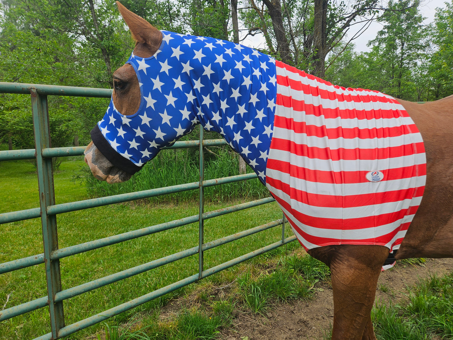 Derby Originals Patriotic Stars & Stripes Lycra Horse Sleazy Hood with Zipper, Fleece Noseband, Belly Strap – Stretch Neck Cover for Average Horses, Great for Shows & Parades.