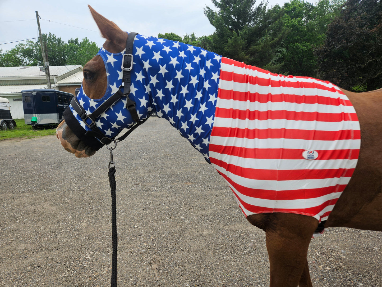 Derby Originals Patriotic Stars & Stripes Lycra Horse Sleazy Hood with Zipper, Fleece Noseband, Belly Strap – Stretch Neck Cover for Average Horses, Great for Shows & Parades.