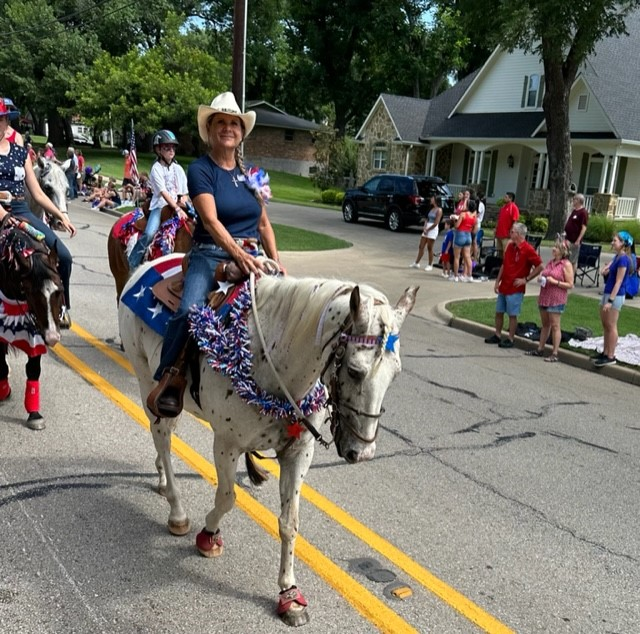 Buy Tahoe Tack 34x36 Patriotic American Flag Saddle Blanket – Tack