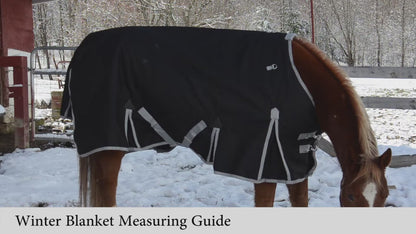 Derby Originals Patriotic Stars & Stripes Polycotton Horse Stable Sheet, Lightweight & Breathable