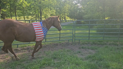 Derby Originals Patriotic Stars & Stripes Lycra Sleazy Horse Shoulder Guard – Stretch Slicker with Belly Strap, Anti-Chafe Design for Blanket Rubbing, Ideal for Parades & Shows, Full Size (78"-82")