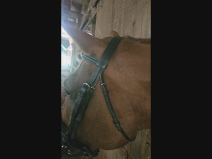 Paris Tack Black Leather Dressage Crank Horse Bridle with Flash and Rubber Reins