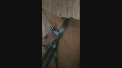 Macmillan Dressage Leather English Bridle with Laced Reins