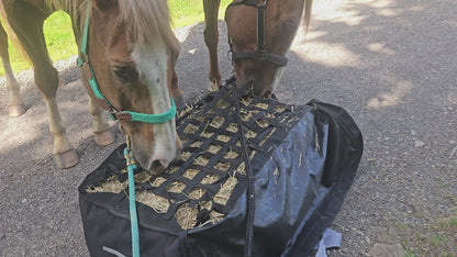 Paris Tack Large Hay Bale Bag – 44"x16"x20" Waterproof 1200D Nylon with Patented Ventilation Windows, Hand-Tooled Leather Patriotic Corners, Fits 2-String Bales, Ideal for Shows & Daily Use