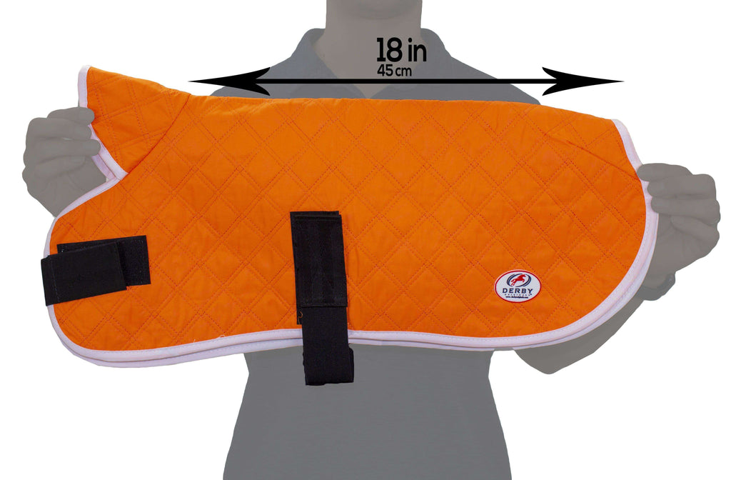 Derby Originals Hydro Cooling Dog Jacket with Harness Compatible Opening Tack Wholesale