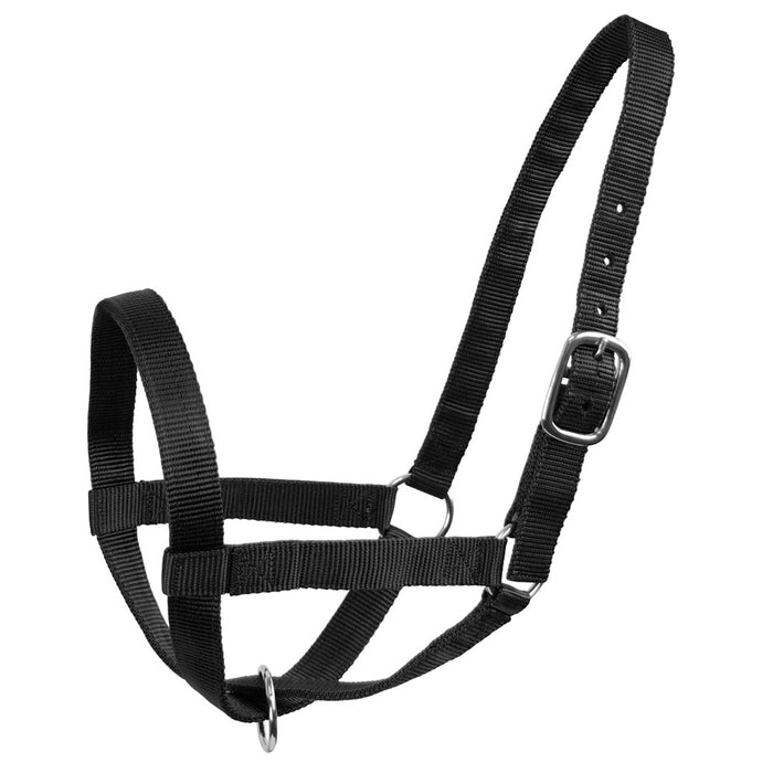 Derby Originals Adjustable Nylon Livestock Cattle Halters Available in Multiple Colors