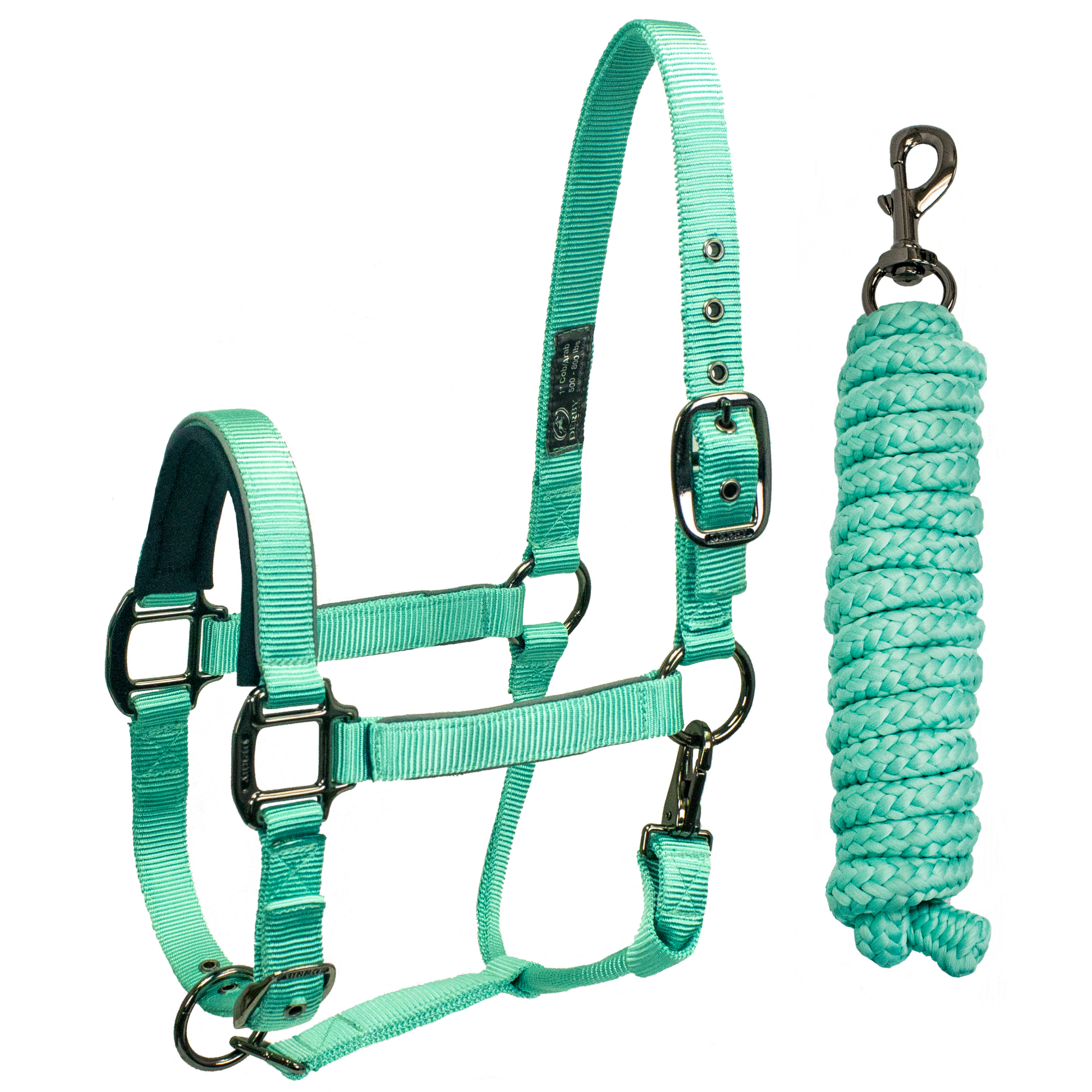 Blackout Reflective Safety Stable Horse Halters turquoise