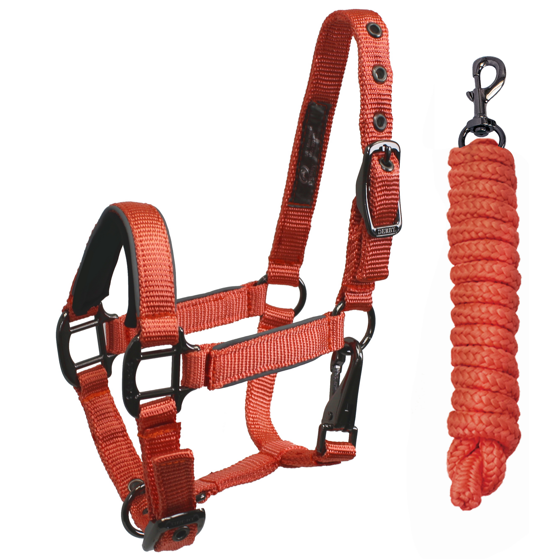 Blackout Reflective Safety Stable Horse Halters Gold sand