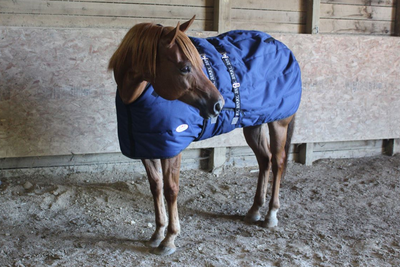 Derby Originals Nordic Tough Closed Front 1200D Reflective Winter Horse Stable Blanket 300g Heavy Weight 1 Year Warranty