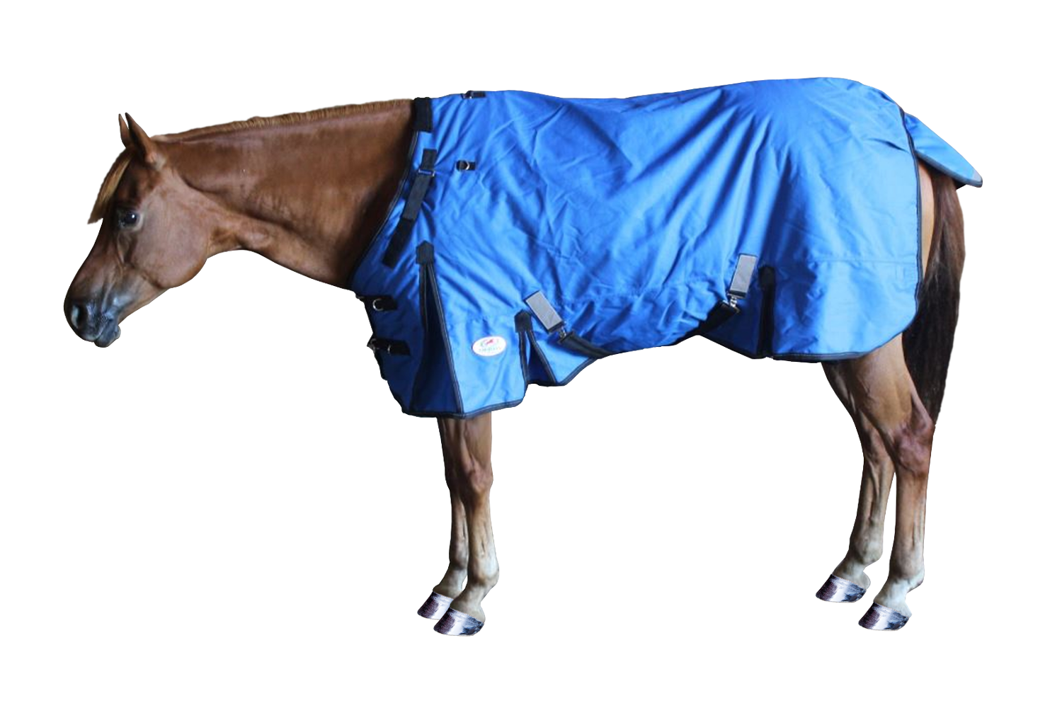 Reflective Winter Horse Turnout Blanket