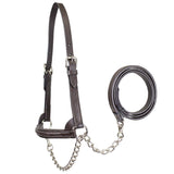 Premium Raised Padded Leather Cattle Show Halter with Chain Lead  - One Year Warranty