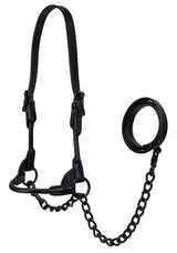 Midnight All Black Premium Round Rolled Leather Cattle Show Halter with Chain Lead  - One Year Warranty