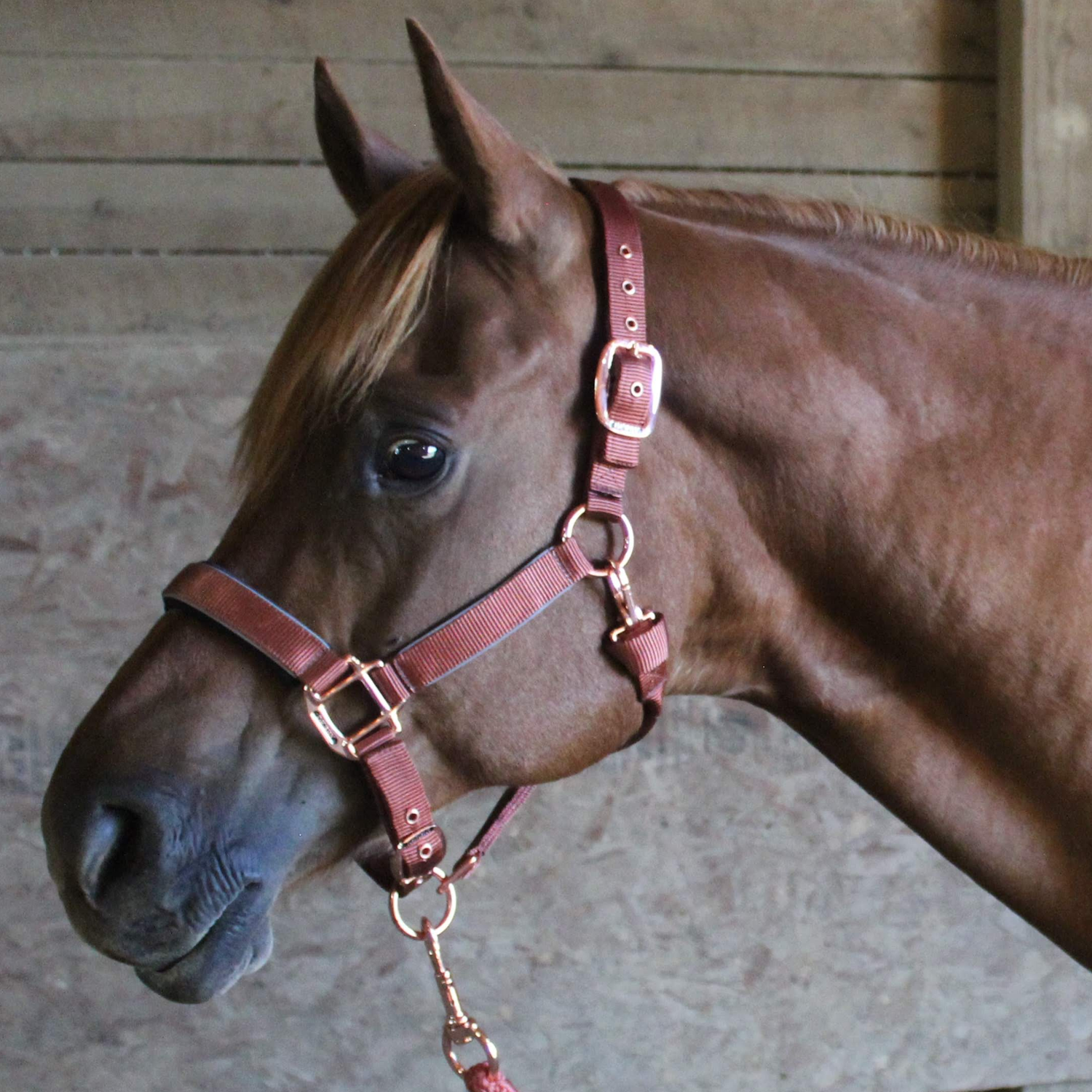 Rope Halter Hy Equestrian Rose Gold Headcollar And Lead Rope Set
