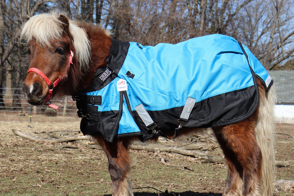 Derby Originals 1200D Waterproof Reflective Heavyweight Mini Horse
