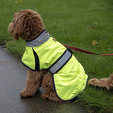 Derby Originals Light Up LED Waterproof Safety Yellow Dog Jacket with Reflective Trim, Belt, & Harness Compatible Opening