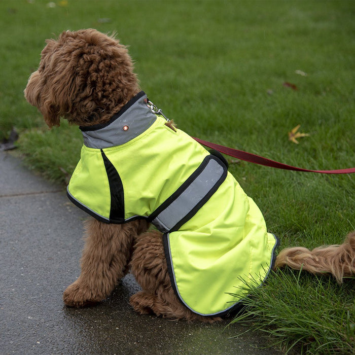 Safety Light Up LED Dog Jacket with Reflective Trim & Belt by Derby ...