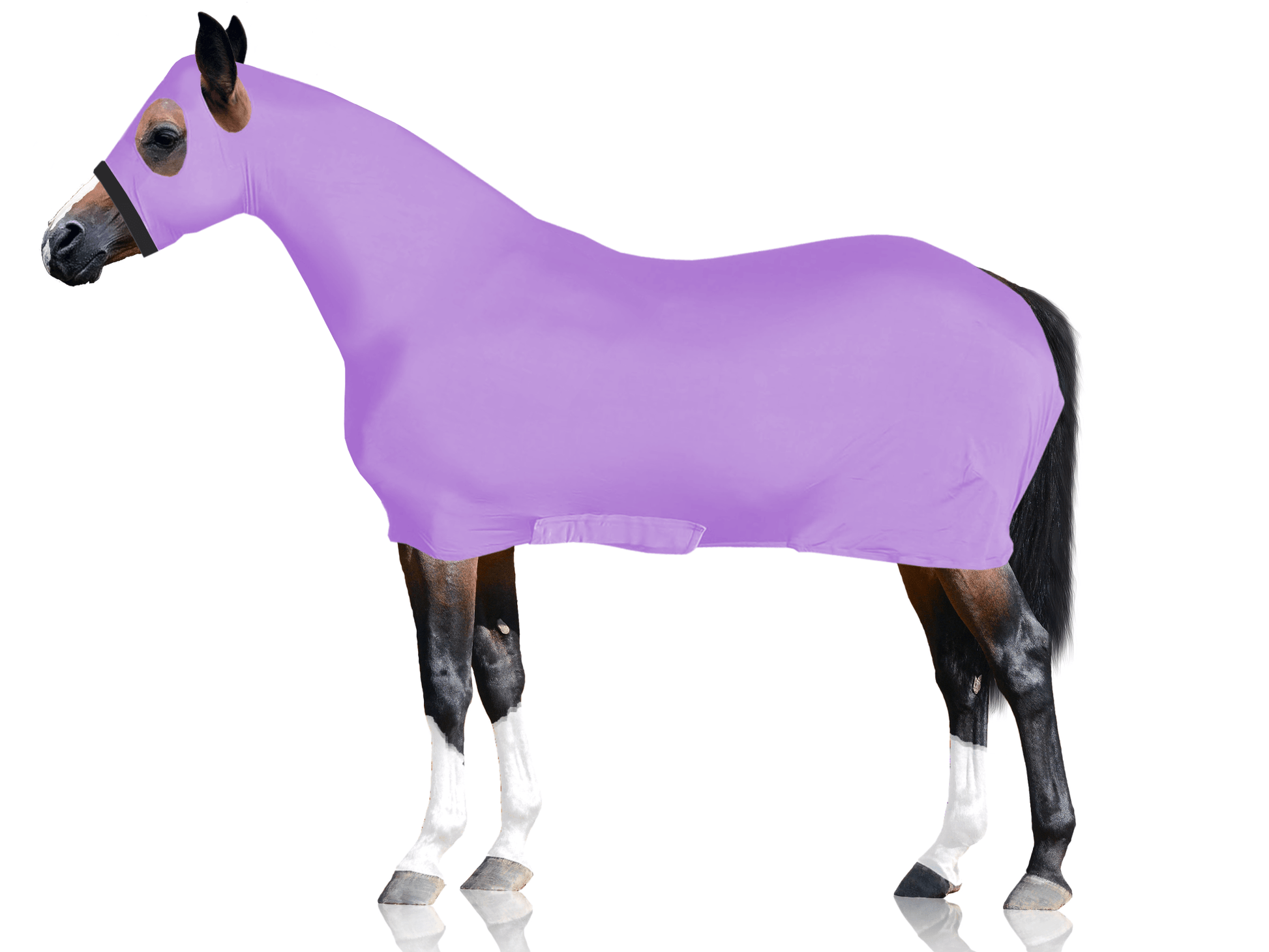 Lycra Sheet With Neck Cover Pruple