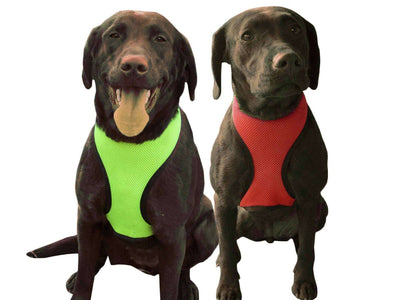 CuteNfuzzy Comfort Mesh Dog Harness - Tack Wholesale