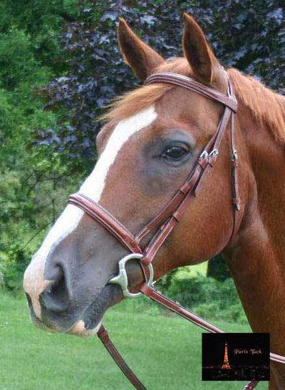 Paris Tack Padded Crown Fancy Stitch Bridle with Laced Reins - Tack Wholesale
