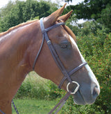 Paris Tack Opulent Series Raised English Bridle with Laced Reins
