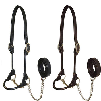 Derby Round Rolled Leather Cattle Show Halter with Lead - Tack Wholesale