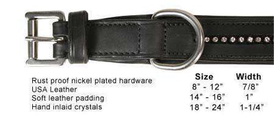 Derby Dog Designer Series USA Leather Padded Dog Collar with Swarovski Crystal Inlay - Tack Wholesale