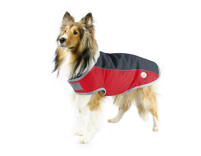 CuteNfuzzy Comfort Fit Safety Reflective 600D Winter Dog Coat Blanket ...