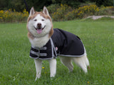 Derby Originals Solid Color Horse-Tough 600D Waterproof Ripstop Nylon Winter Dog Coat with One Year Warranty*