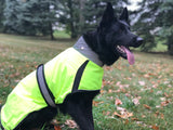 Derby Originals Light Up LED Waterproof Safety Yellow Dog Jacket with Reflective Trim, Belt, & Harness Compatible Opening