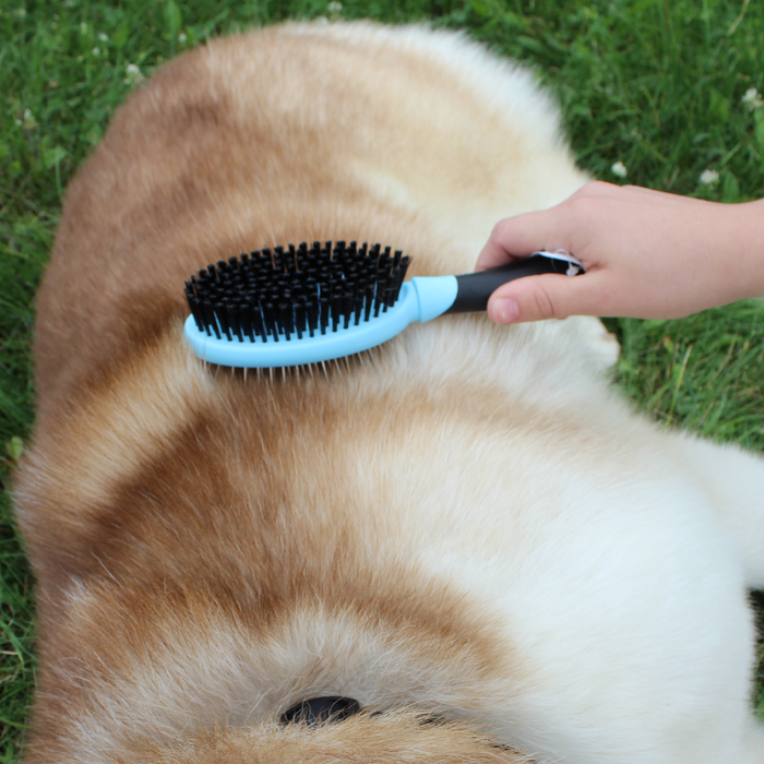 CuteNfuzzy Double Sided Pet Grooming Brush for Dogs and Cats Tack