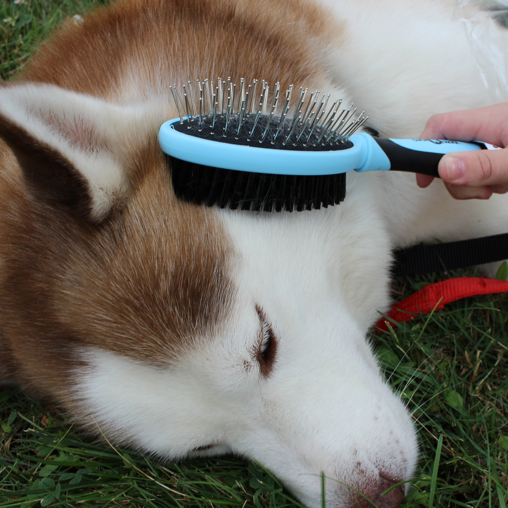 CuteNfuzzy Double Sided Pet Grooming Brush for Dogs and Cats Tack