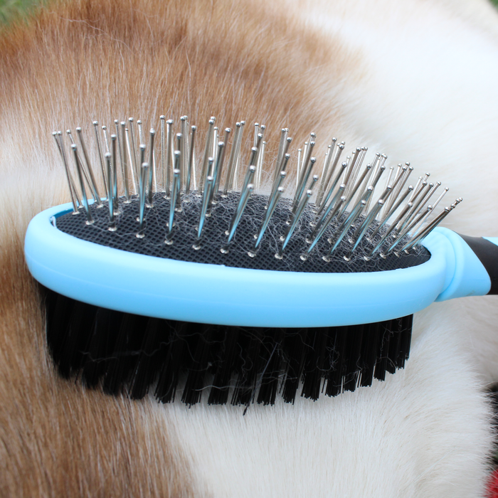 CuteNfuzzy Double Sided Pet Grooming Brush for Dogs and Cats Tack