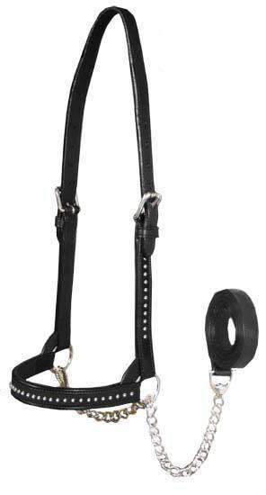 Spotted Show Cattle Halter USA Leather by Derby Originals - Tack Wholesale