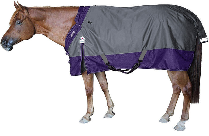 Mid-winter Blanket Repair - Horse Illustrated