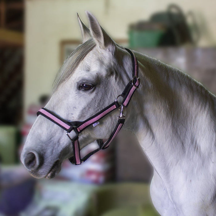 Milageto Cavalo frente única estável frente única pasto Nylon Halter -  Multicolorido, Azul G