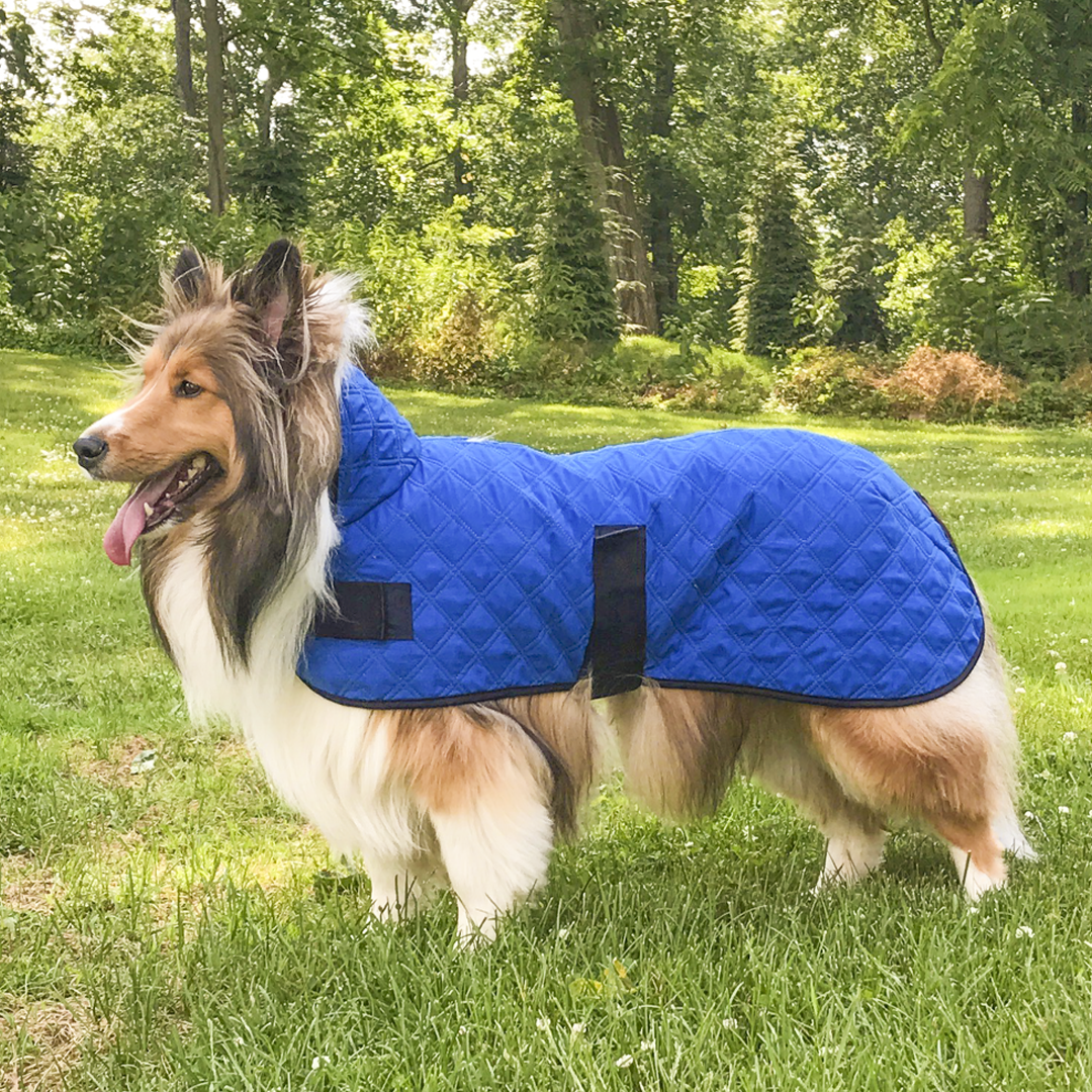 Derby Originals Hydro Cooling Dog Jacket - Breathable and Cooling for Summer Heat