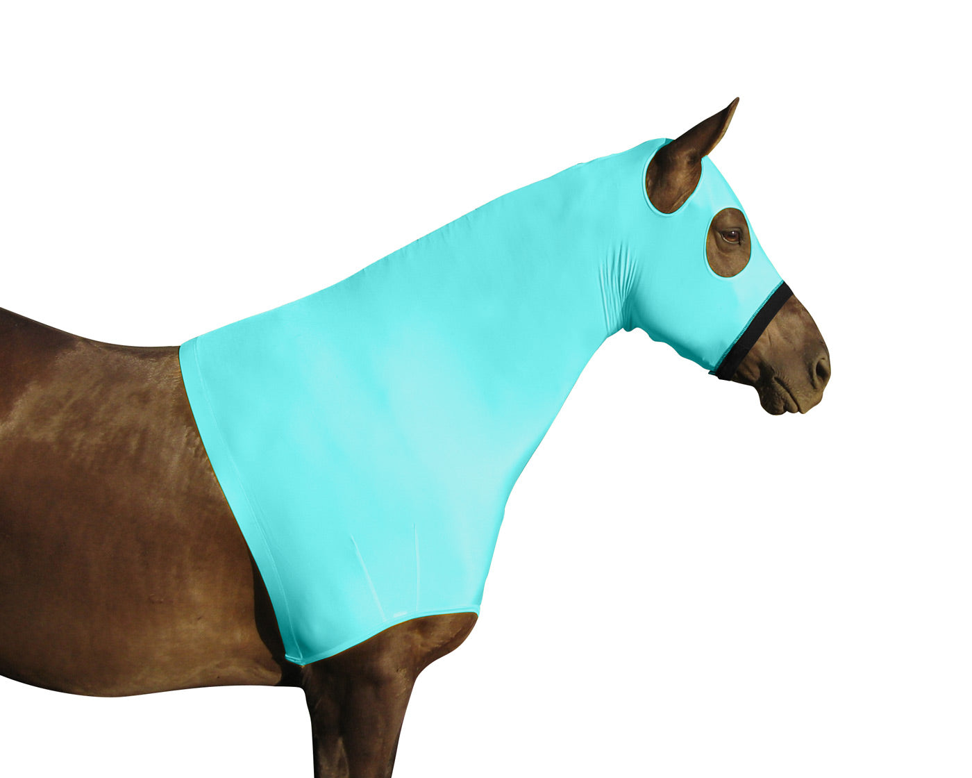 Lycra Sleazy hood with Zipper Blue color main