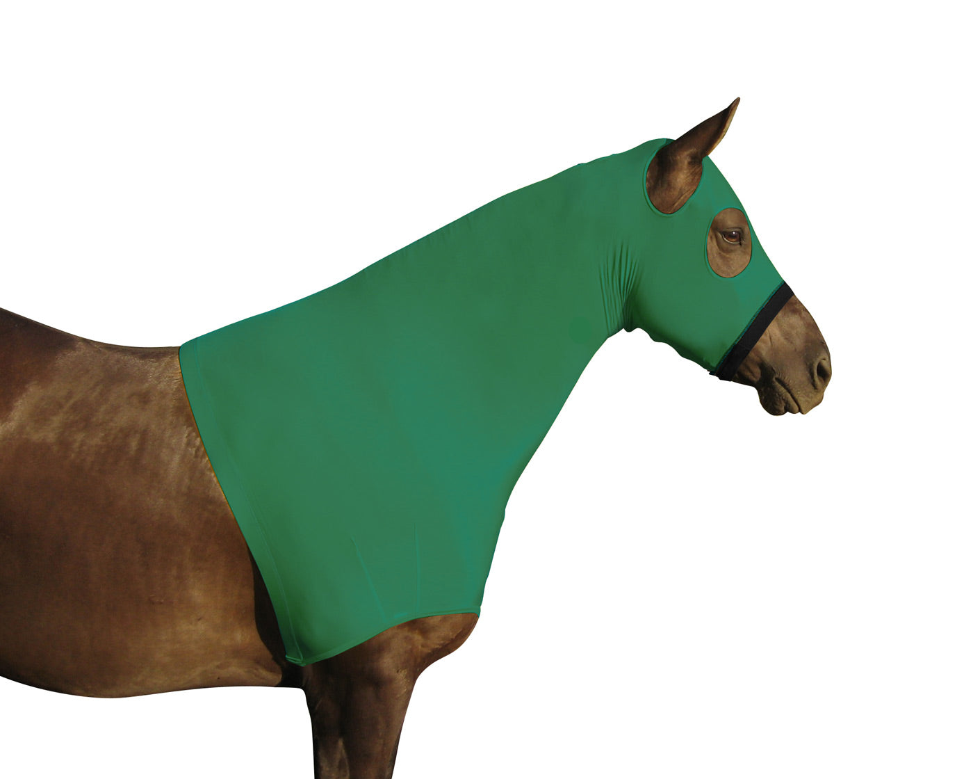 Lycra Sleazy hood with Zipper Hunter Green