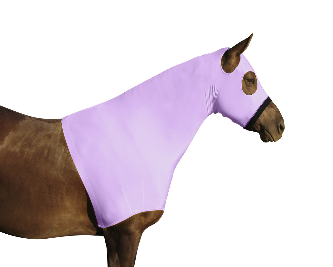 Lycra Sleazy hood with Zipper plum