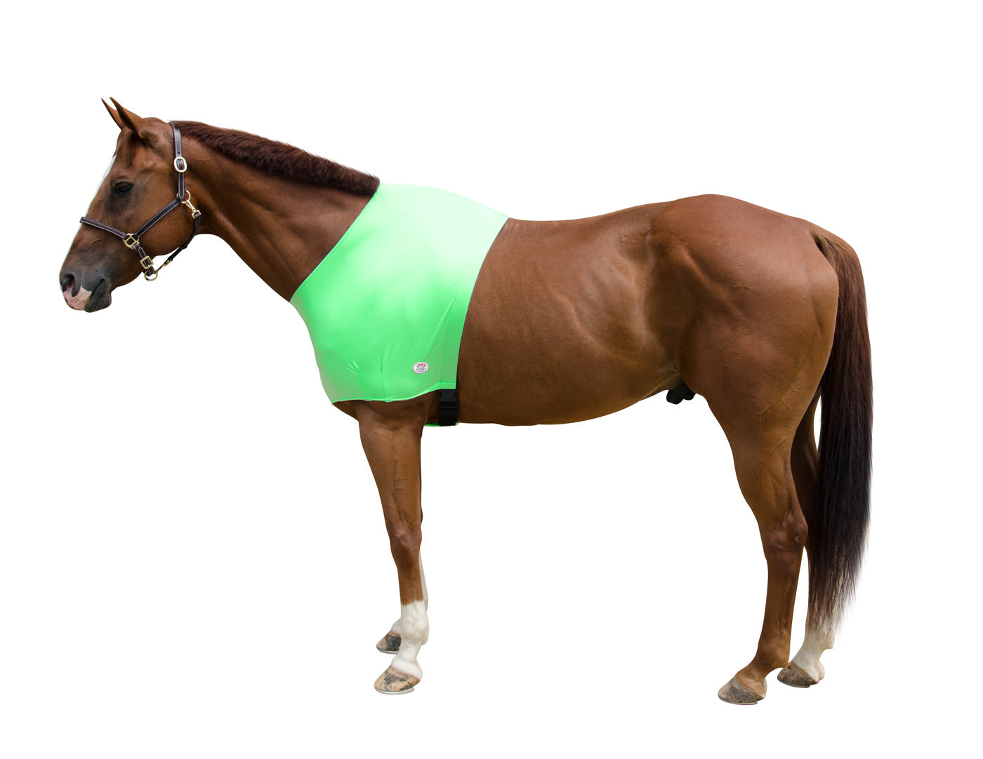 Lycra Sleazy Shoulder Guard Apple Green