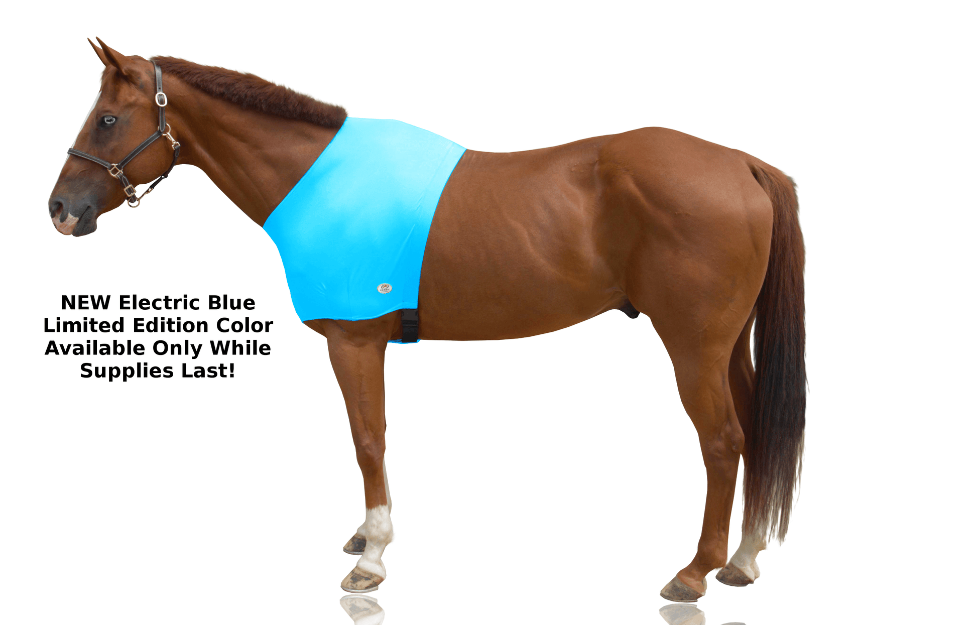 Stretch Horse Shoulder Guard | Horse Stretchy Shoulder Guard, Anti-Rub Bib | Stretch Vest For Comfort & Protection, Horse Chest Saver Protector Stretch Horse Shoulder Guard | Horse Stretchy Shoulder Guard, Anti-Rub Bib | Stretch Vest For Comfort & Protection, Horse Chest Saver Protector