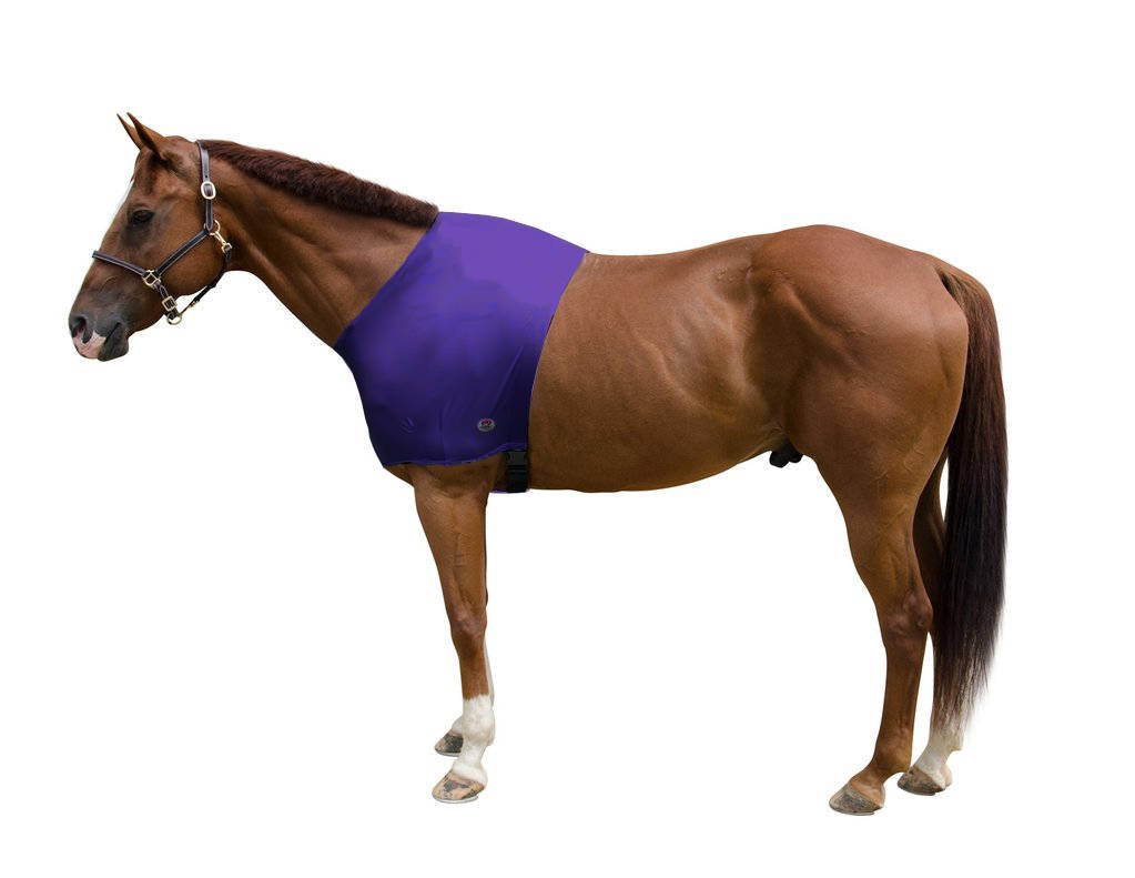 Lycra Sleazy Shoulder Guard Purple color