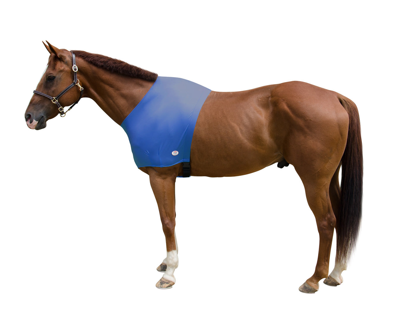Lycra Sleazy Shoulder Guard Blue main