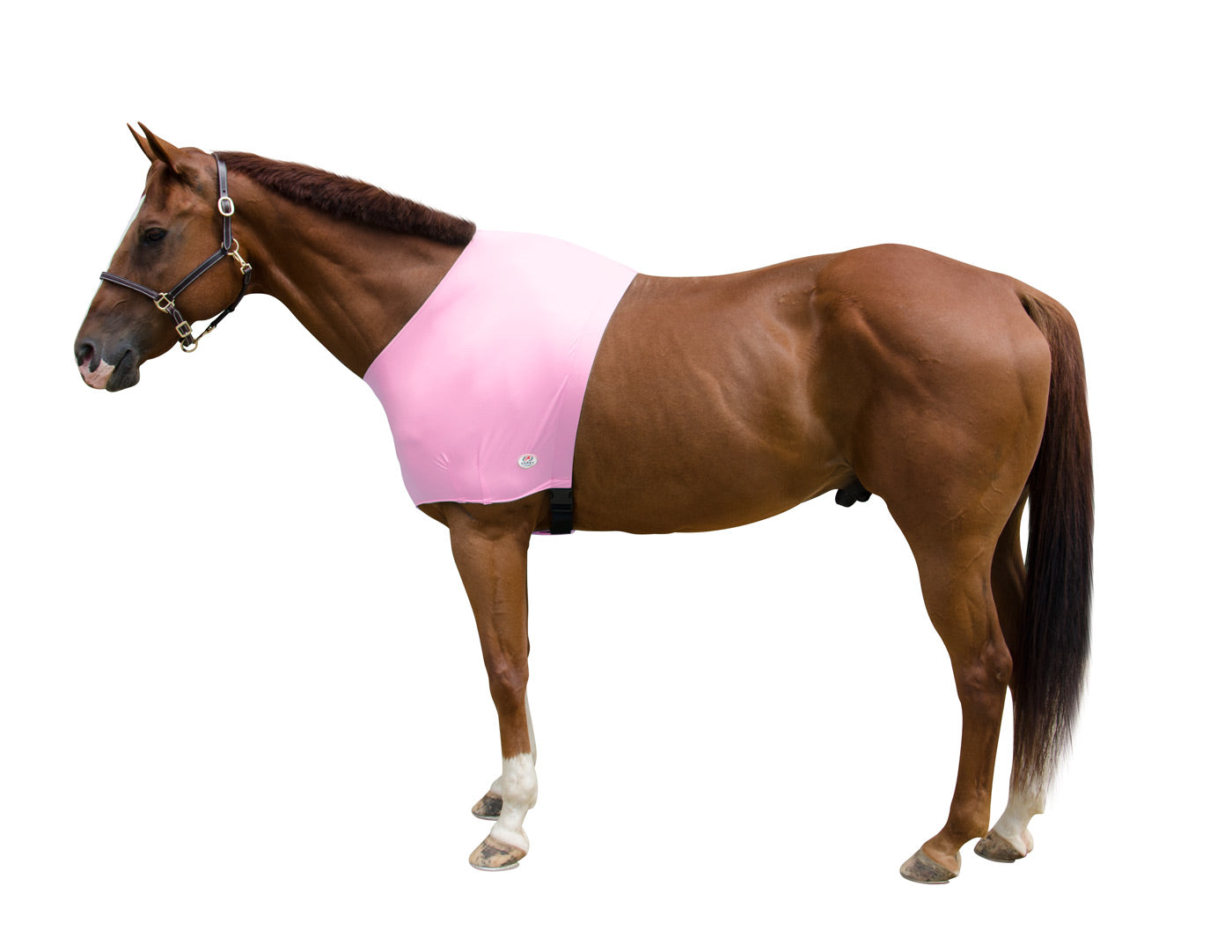 Lycra Sleazy Shoulder Guard Pink color