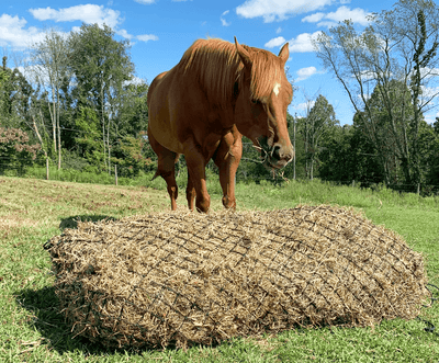 Derby Originals 90” Giant XXL Slow Feed Hay Net 2" Hole For Full Size Bale for Horses