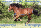 Derby Originals Reflective Safety No Hardware Foal & Mini Horse Winter Turnout Blanket 1200D Medium Weight 150g