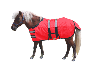 Derby Originals Reflective Safety No Hardware Winter Foal Turnout Blanket 600D Medium Weight 150g