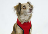 CuteNfuzzy Comfort Mesh Dog Harness - Tack Wholesale