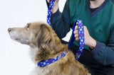 CuteNfuzzy Padded Adjustable Dog Collar with Overlay Warranty - Tack Wholesale