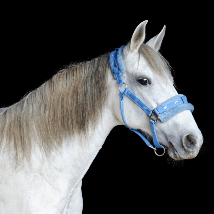 Best Discount Price on Weaver Nylon Padded Reflective Adjustable Horse  Halter